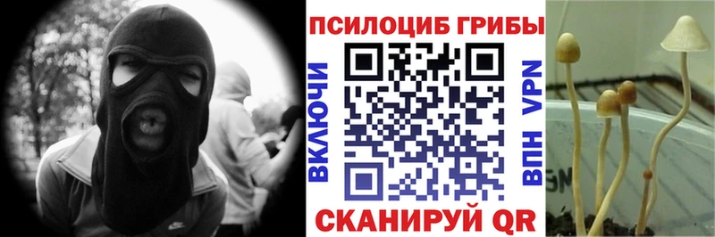 Купить закладки  Глазов  Псилоцибиновые грибы Magic Shrooms 